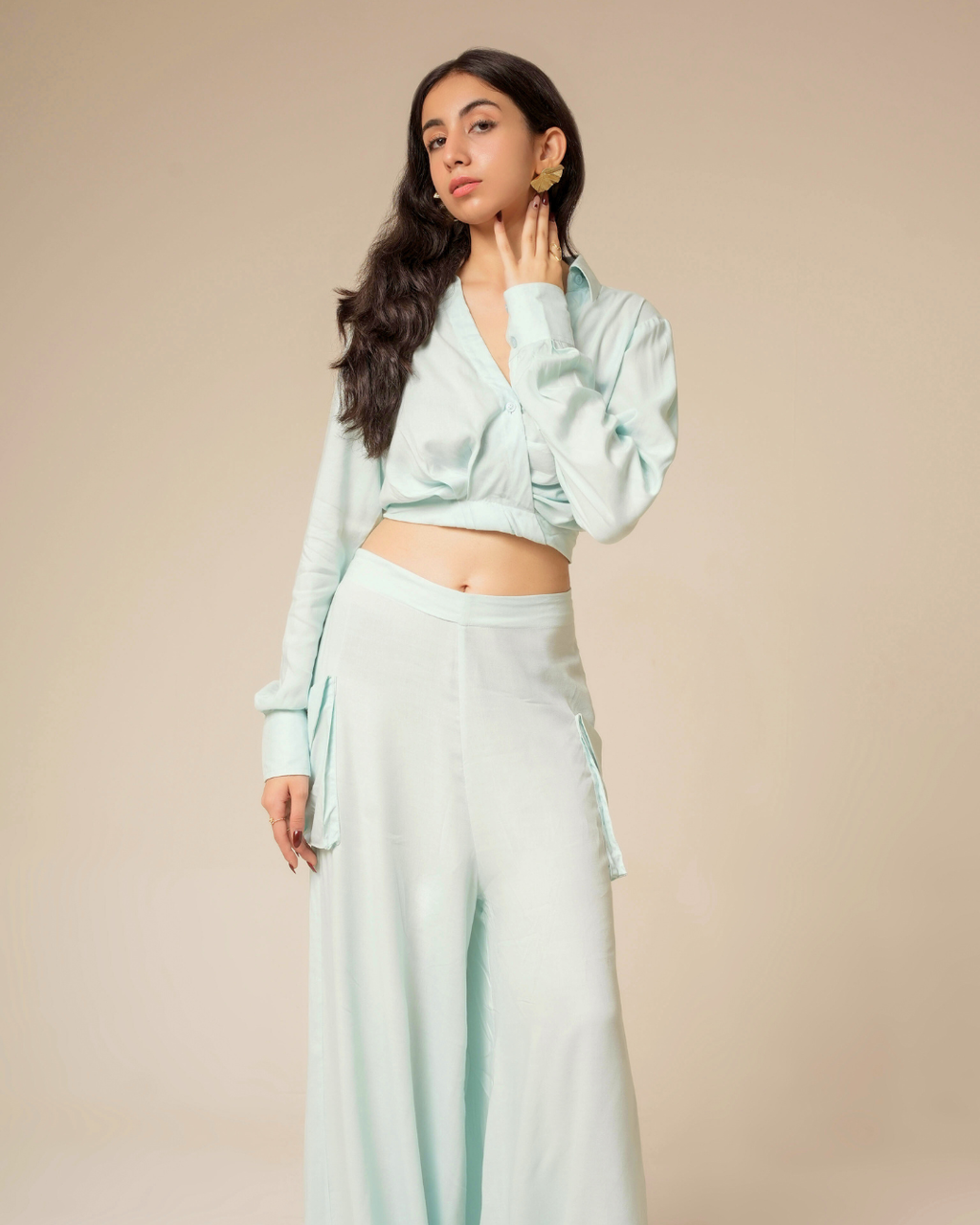 THE VEGA SET (Icy Orbit)