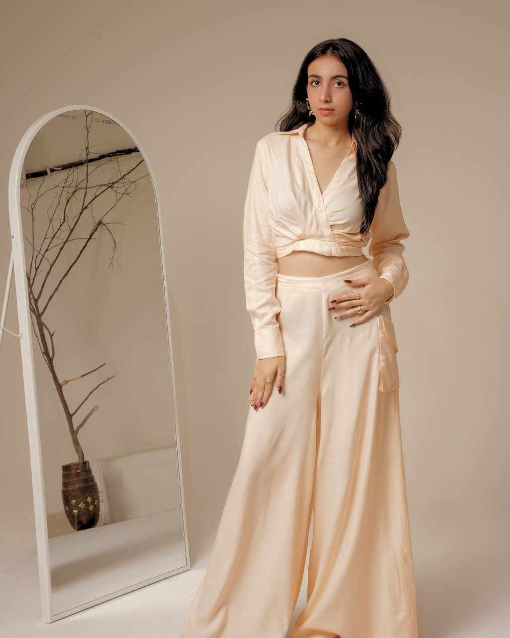 THE VEGA SET (Solar Dust)